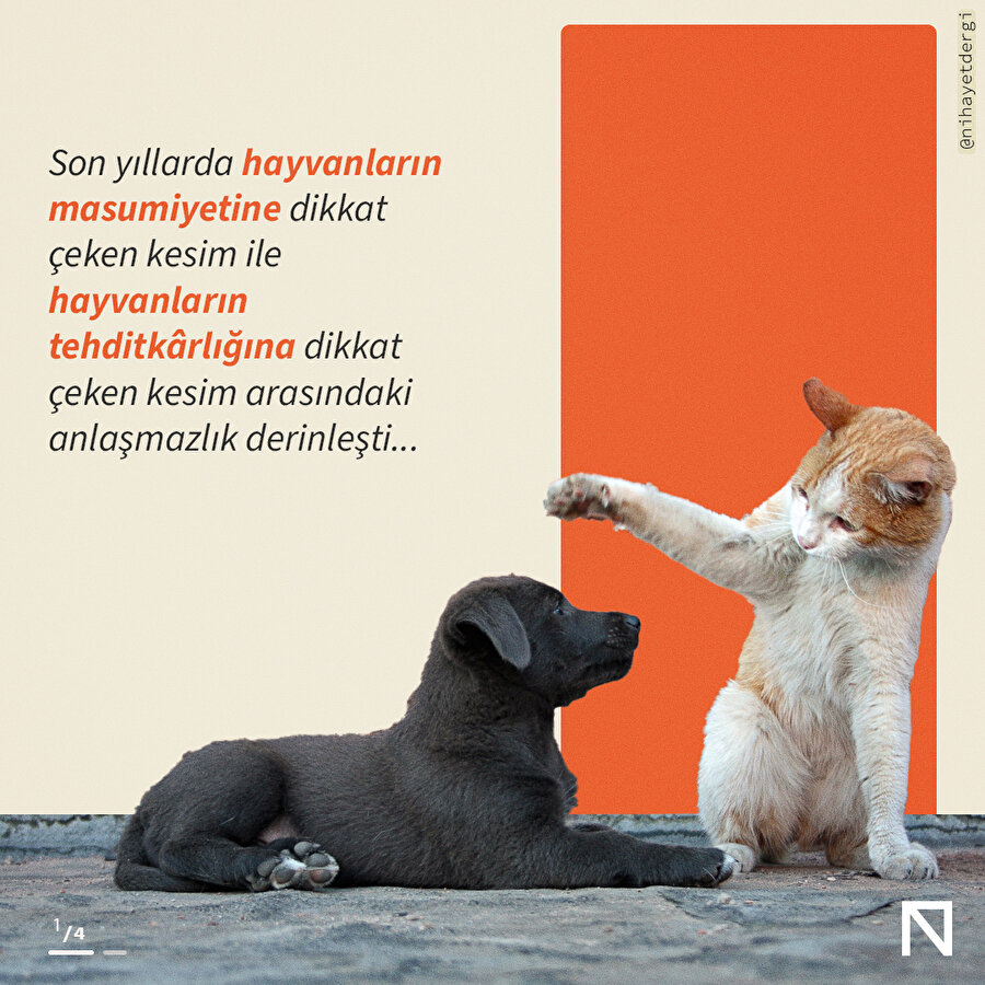 Kabahat sadece hayvanlarda mı?