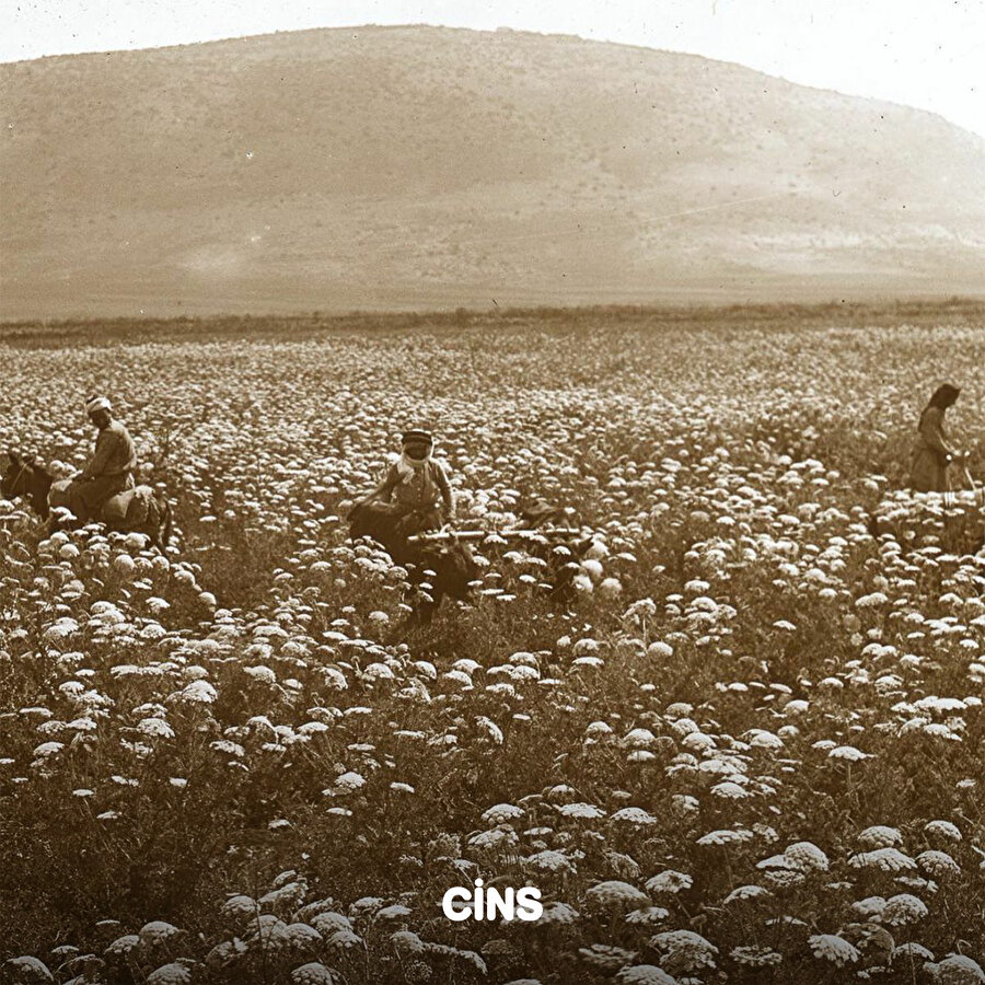 Kudüs tepeleri fotoğraf arşivi