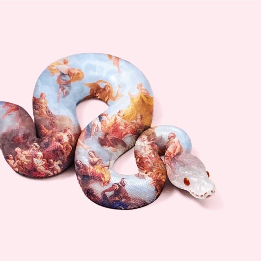 Ilse ve Paul Fuentes'in pastel rüyaları 🐢