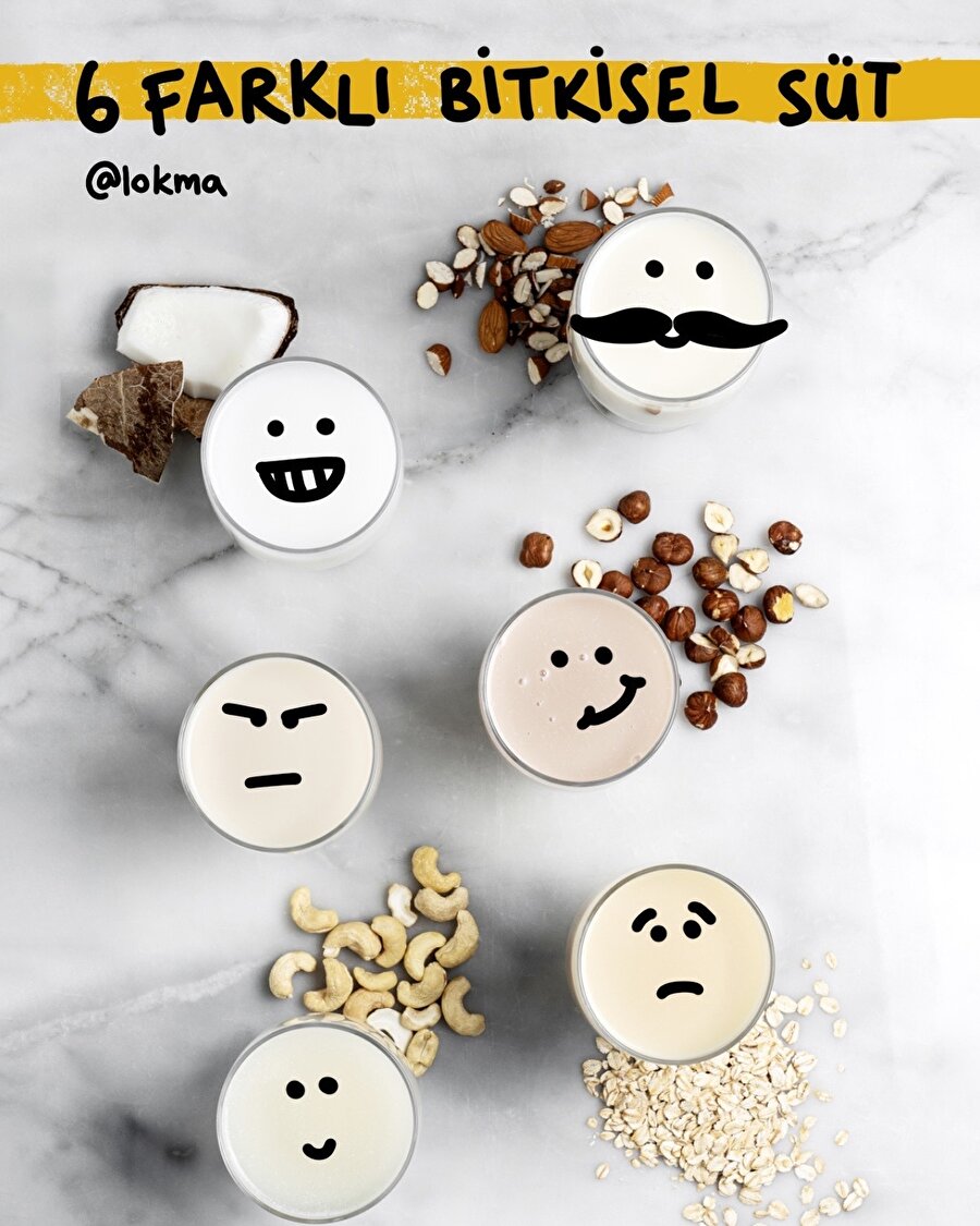 6 farklı bitkisel süt