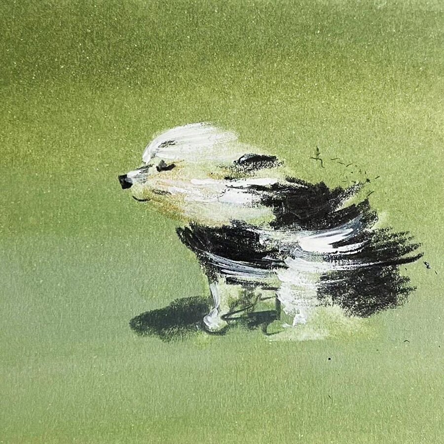 Jenny Bloomfield'un sevimli köpek illüstrasyonları 🐶