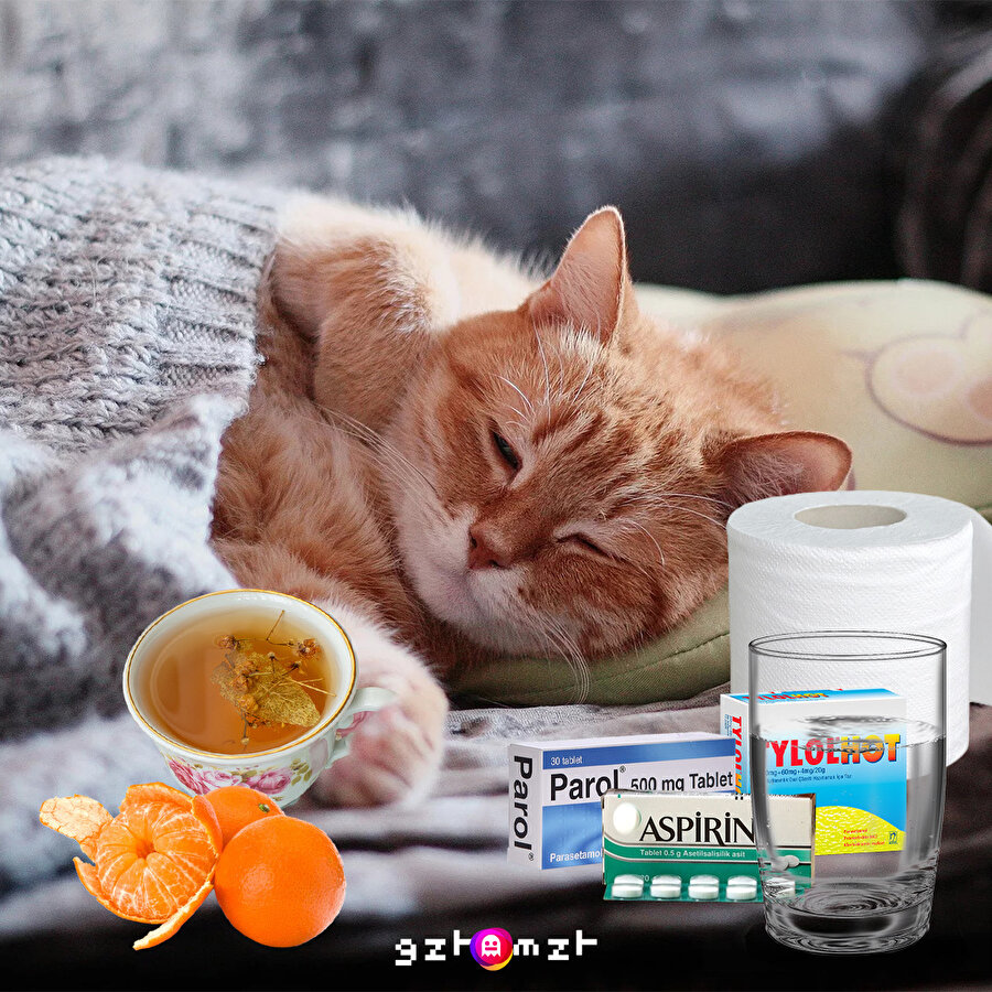 "Bu aralar hiç hasta olmuyorum" dediğim gecenin sabahı ben