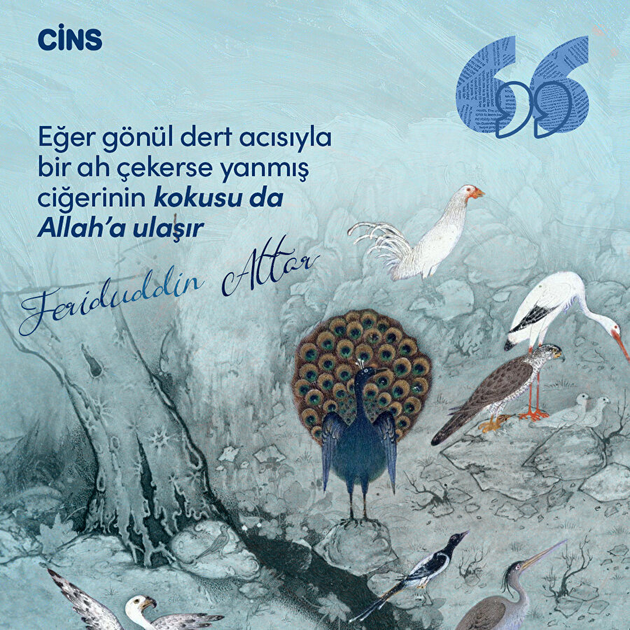 Ferîdüddin Attâr: Gönül derdi Allah'a ulaşırsa