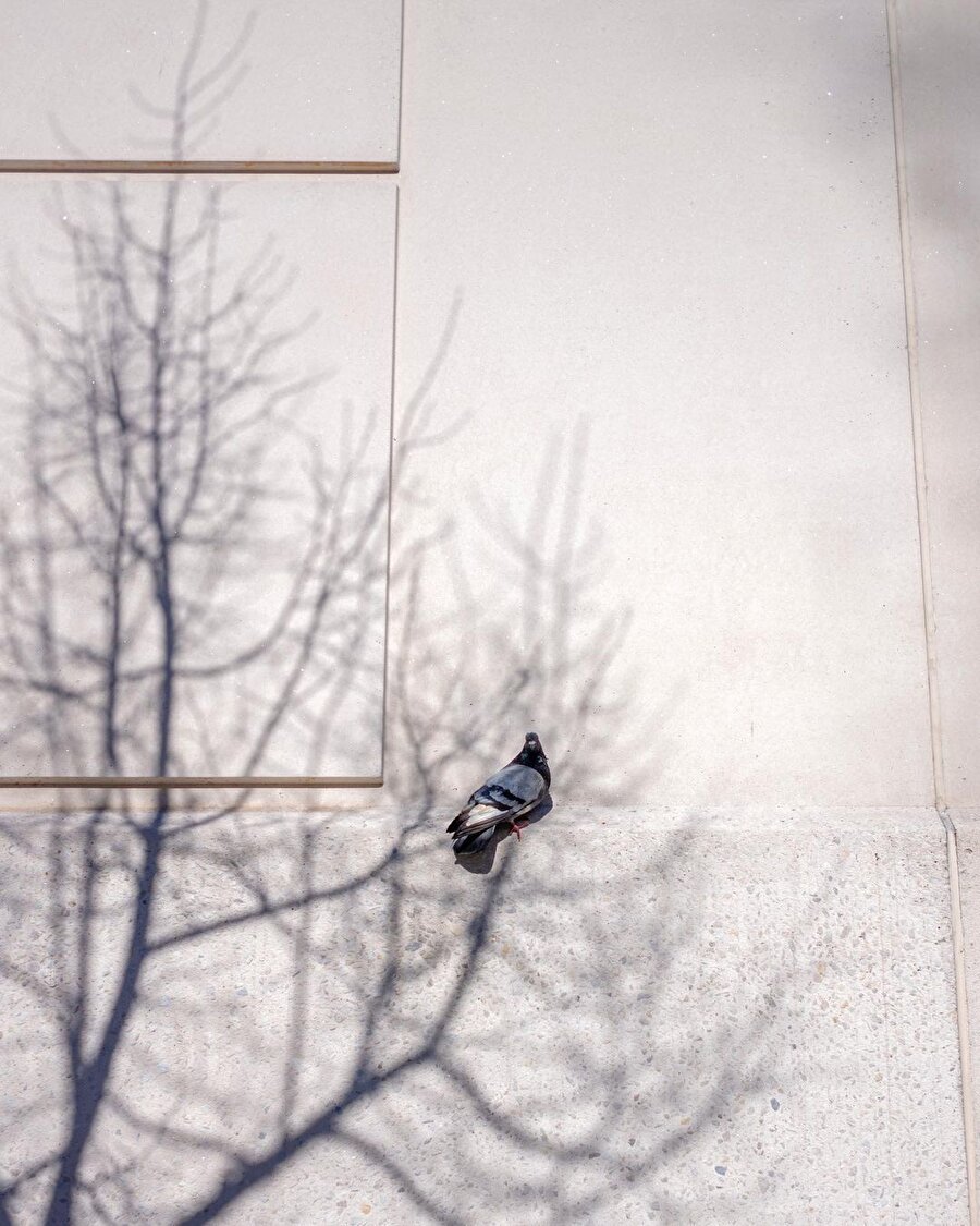 Eric Kogan ve oyunbaz sokak fotoğrafçılığı 📸