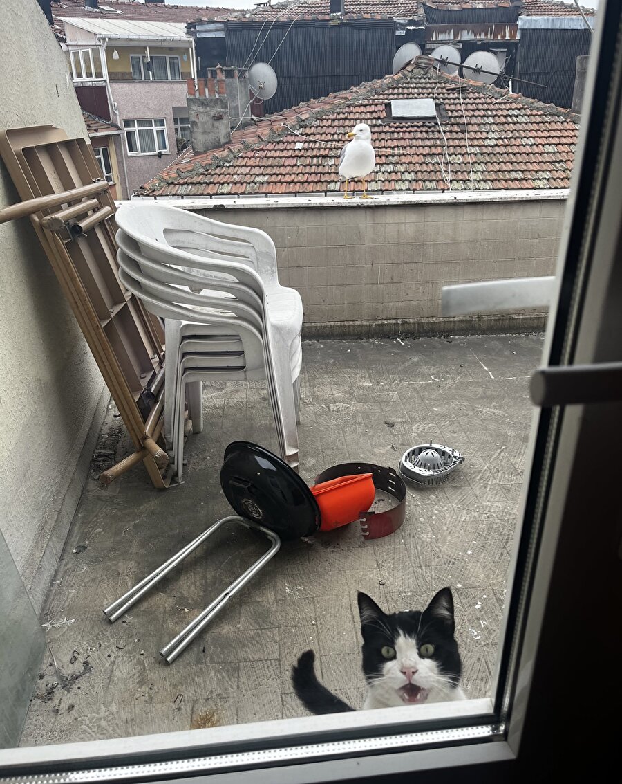 2024'ün en iyi fotoğrafı