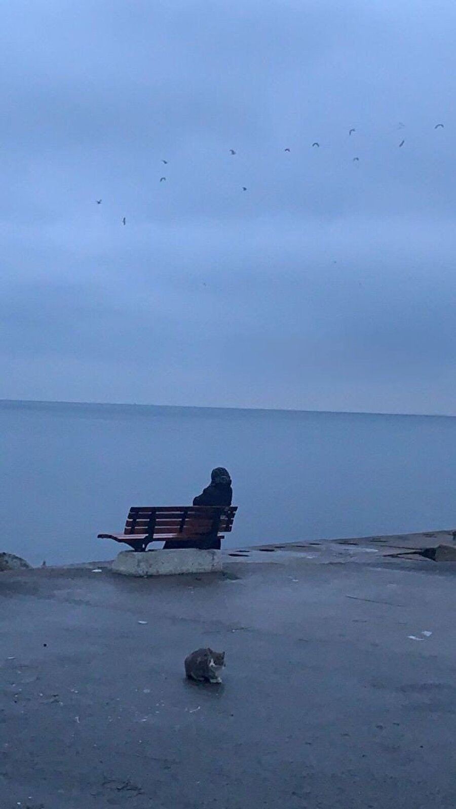 Şöyle bir etkinlik bana iyi gelir