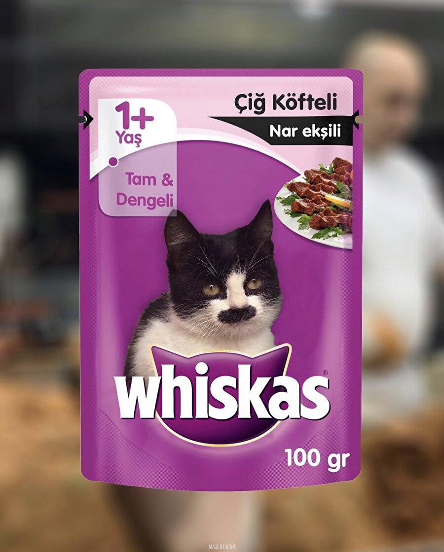 Adıyamanlı kedilerin hayalindeki mama