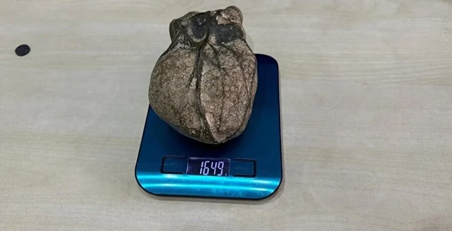 Bayburt'ta göktaşı olduğu öne sürülen "Kalp şeklinde taş" keşfedildi.