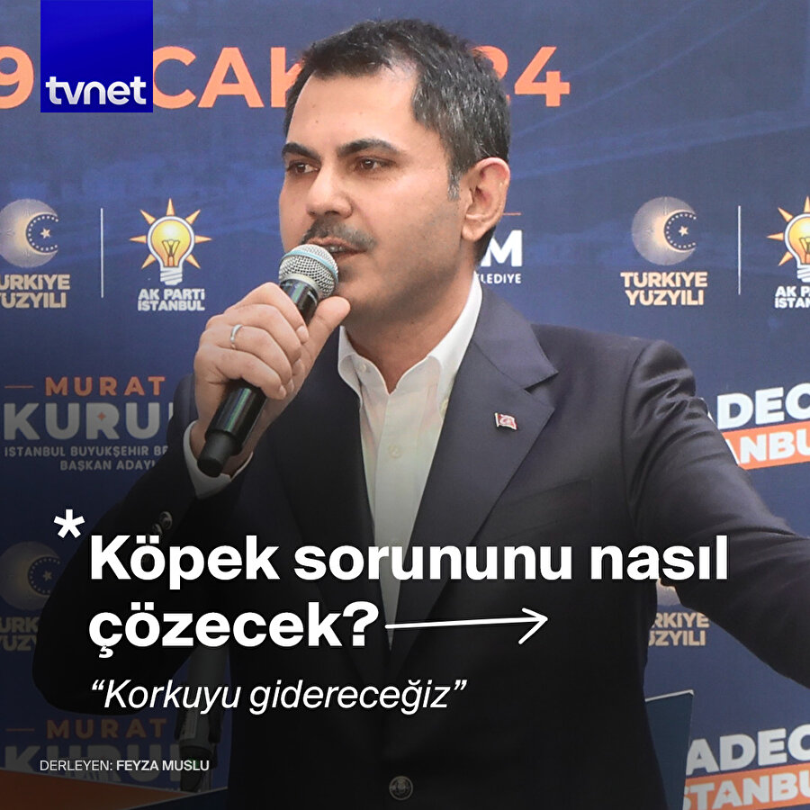 Başıboş köpek sorunu nasıl çözülecek?