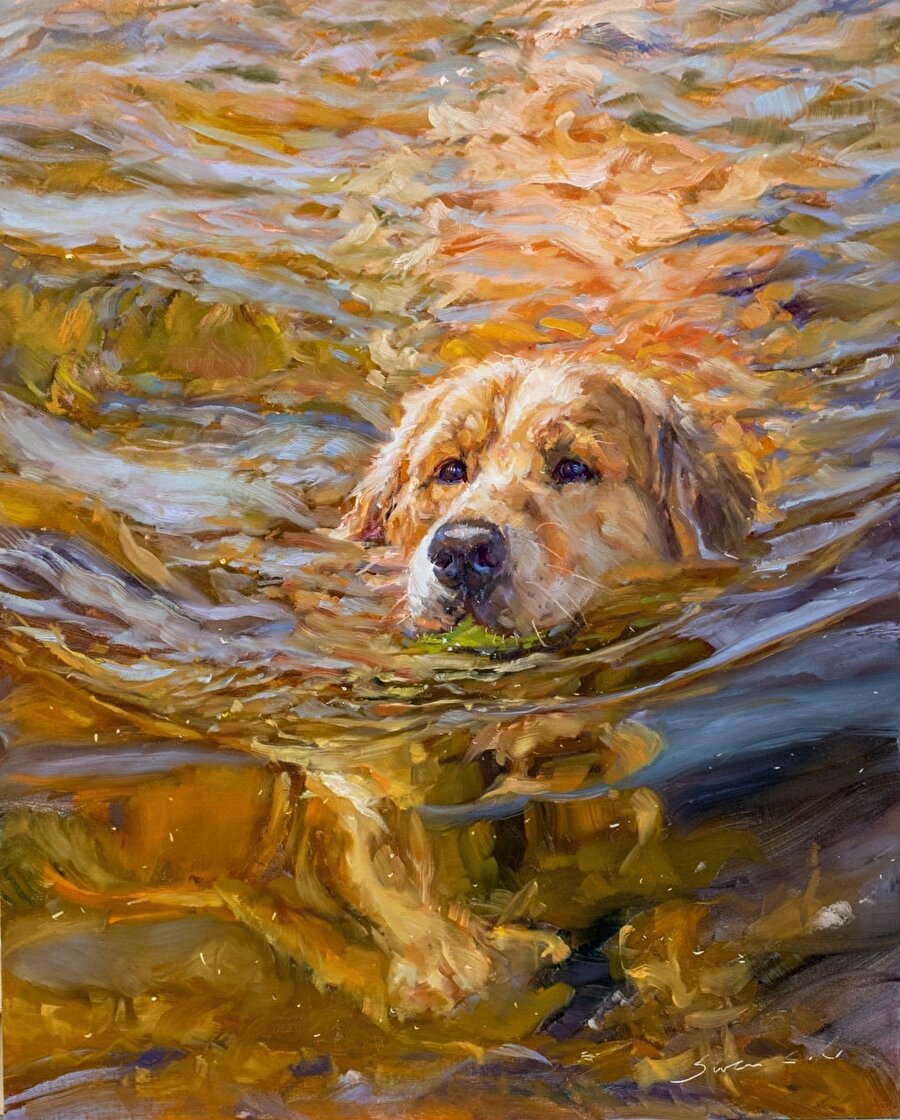 James Swanson’ın sevimli köpek resimleri 😍