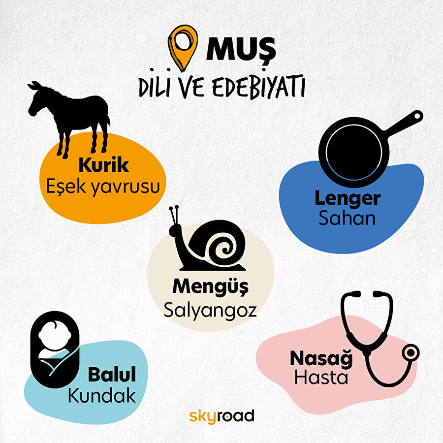 Muş Dili ve Edebiyatı 🤭