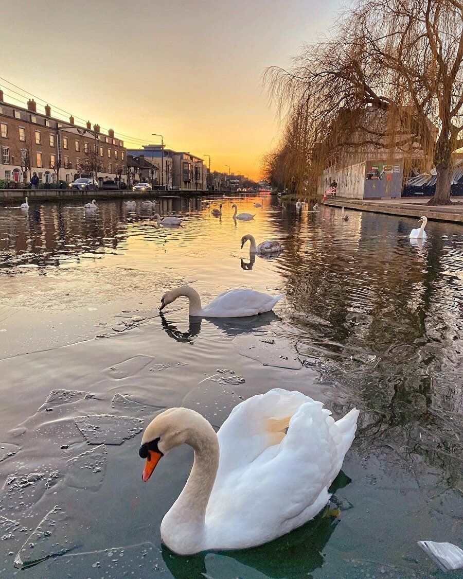 Eğlenceli ve tarihi şehir: Dublin 📍