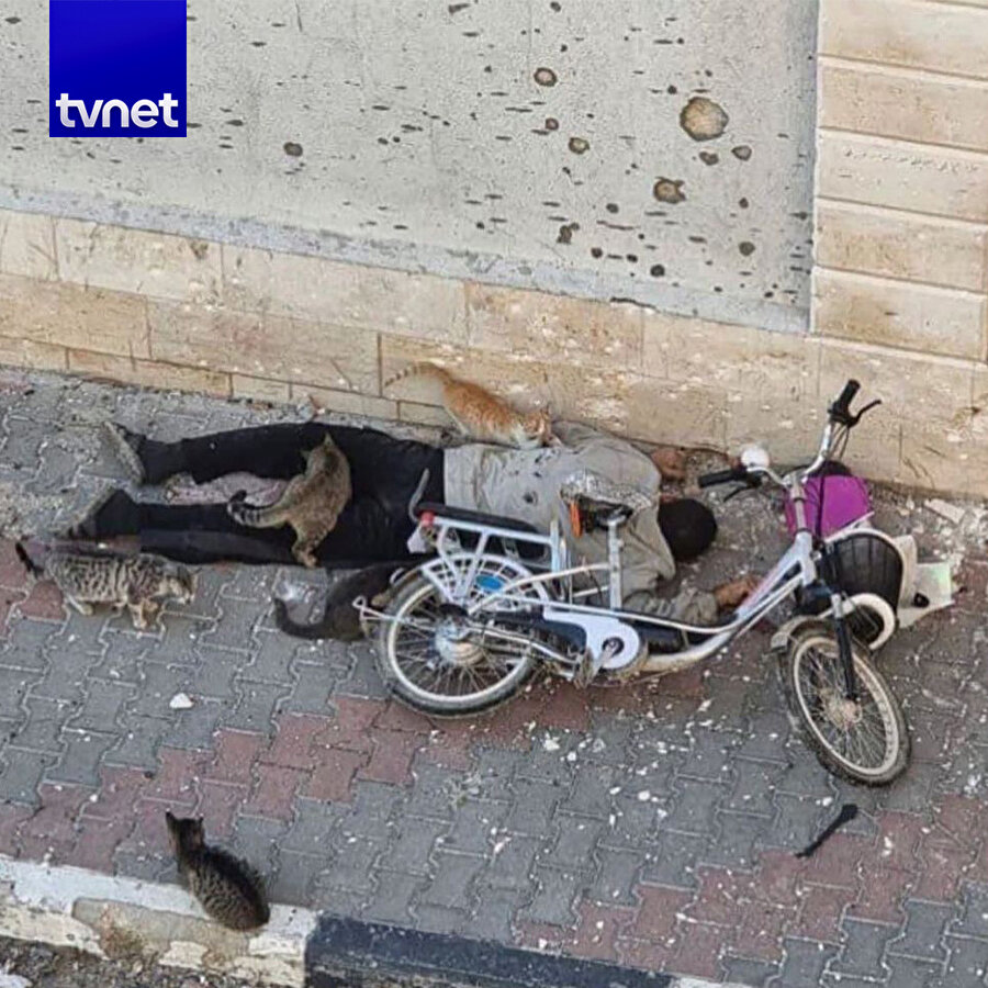 "Kedilerin yiyeceği oldu"