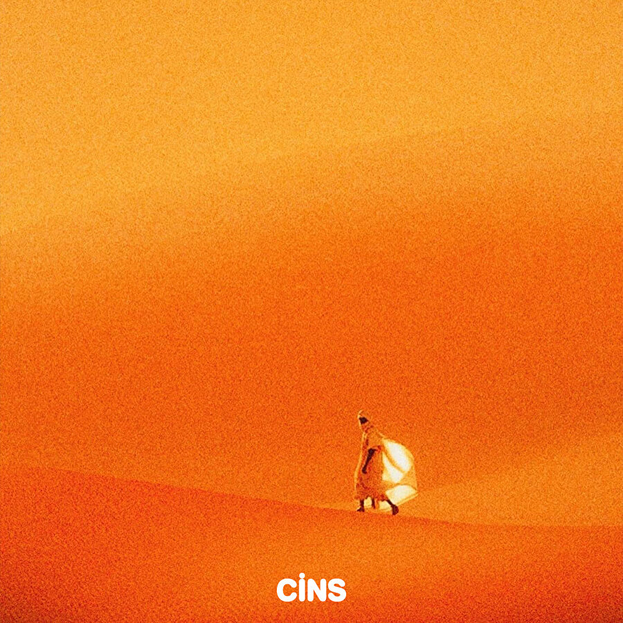 Yüreğini susturmayı başaramazsın 