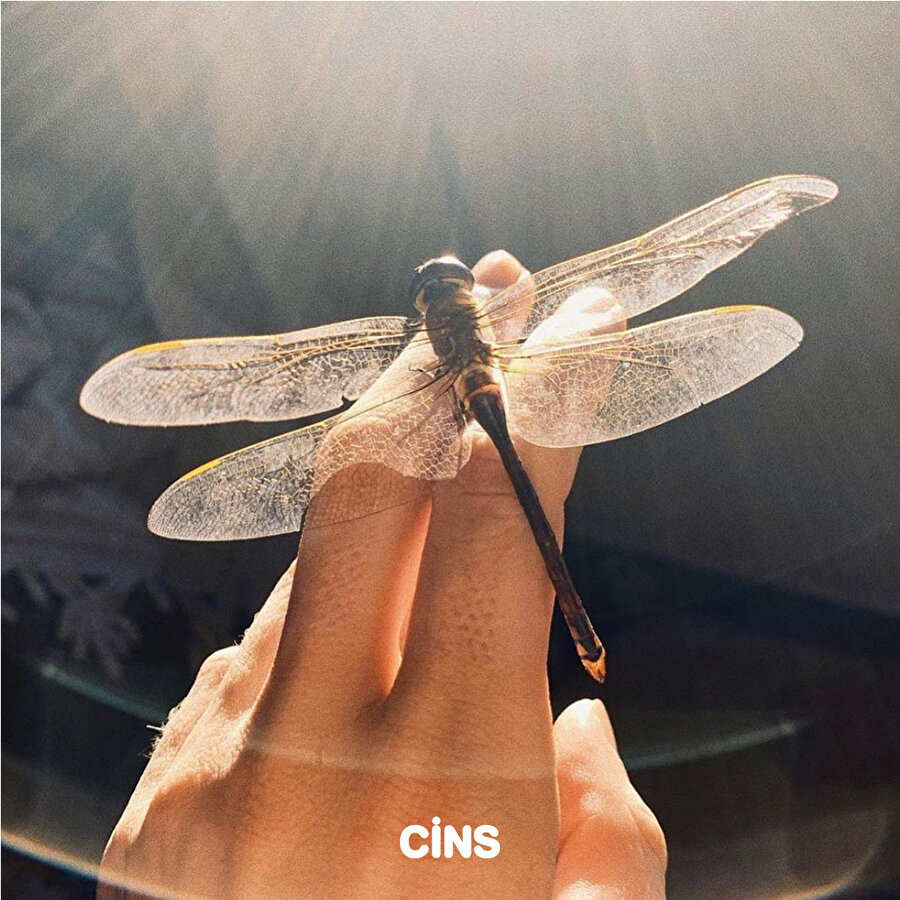 Bir ölü neyden korku duyar?