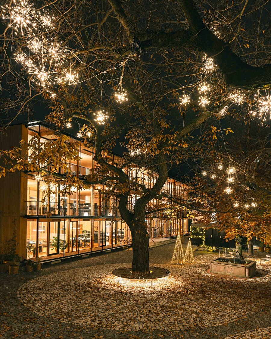 Basel’in merkezinde ahşap yapısıyla öne çıkan tasarım