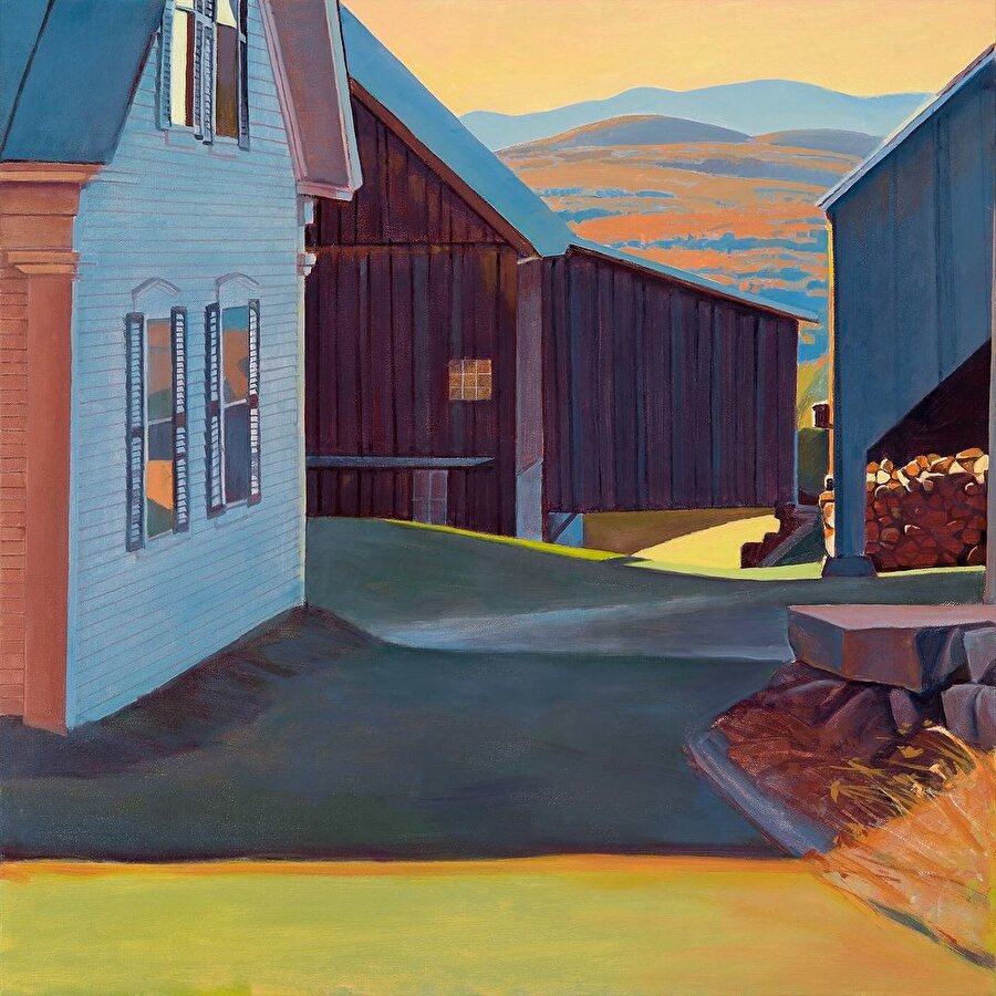 Ressam Susan Abbott’un renkli sanat çalışmaları 🖼️