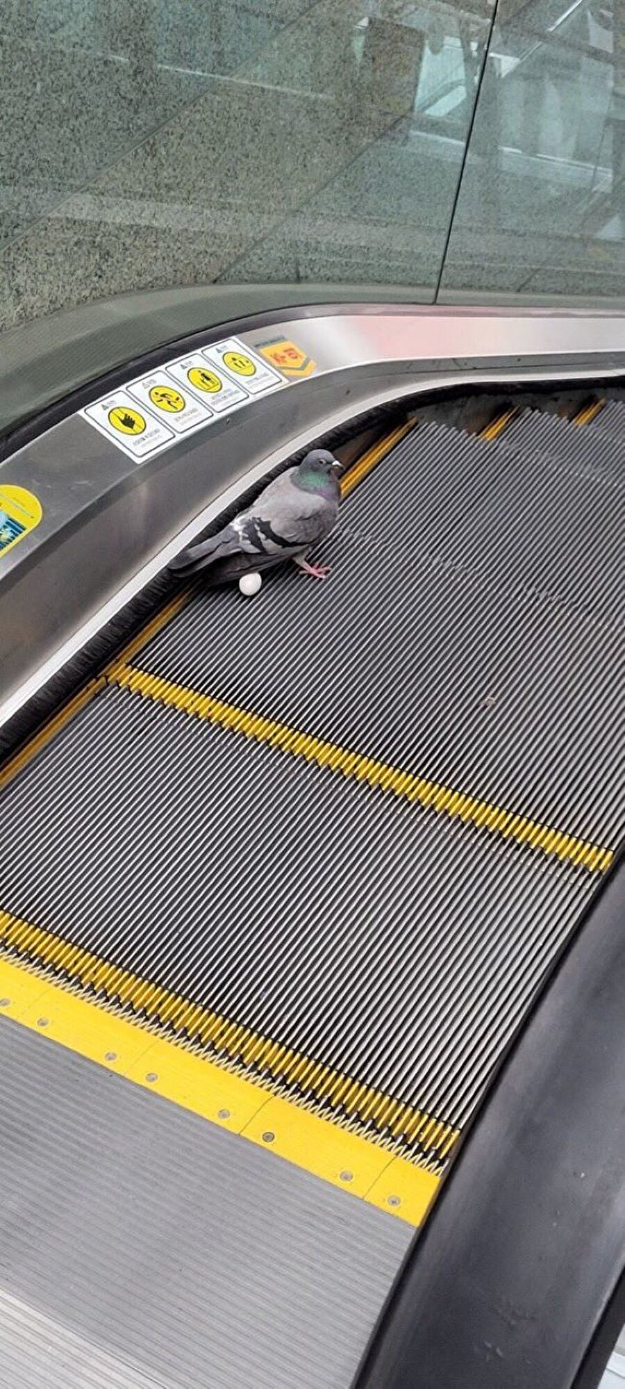 Kardeşim tamam da orası yeri mi sence?