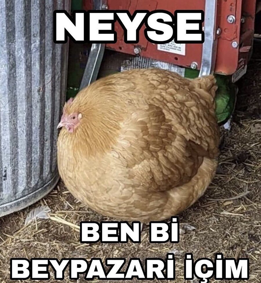 İftardan sonra dönüştüğüm kişilik
