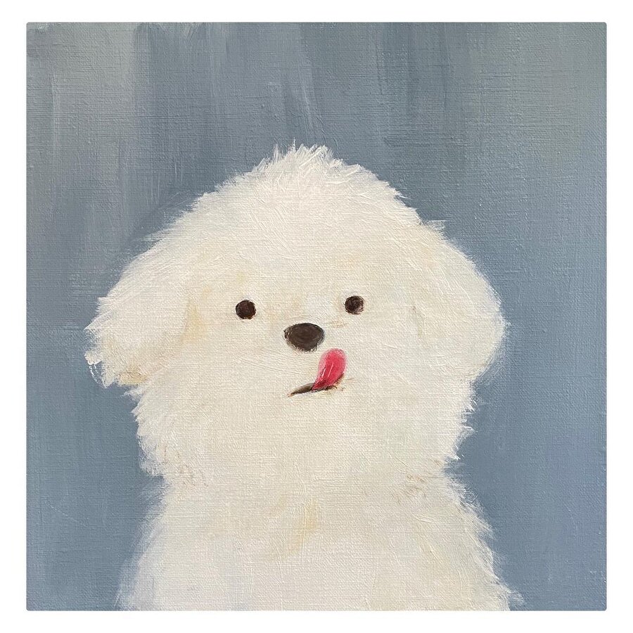 Moongé’nin tatlı anları 🐕