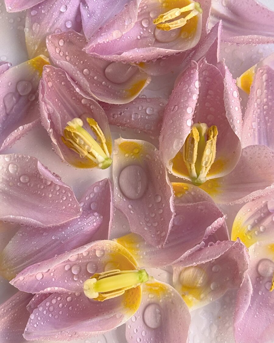 Cansız eşyalara renk katan canlı çiçekler 💐