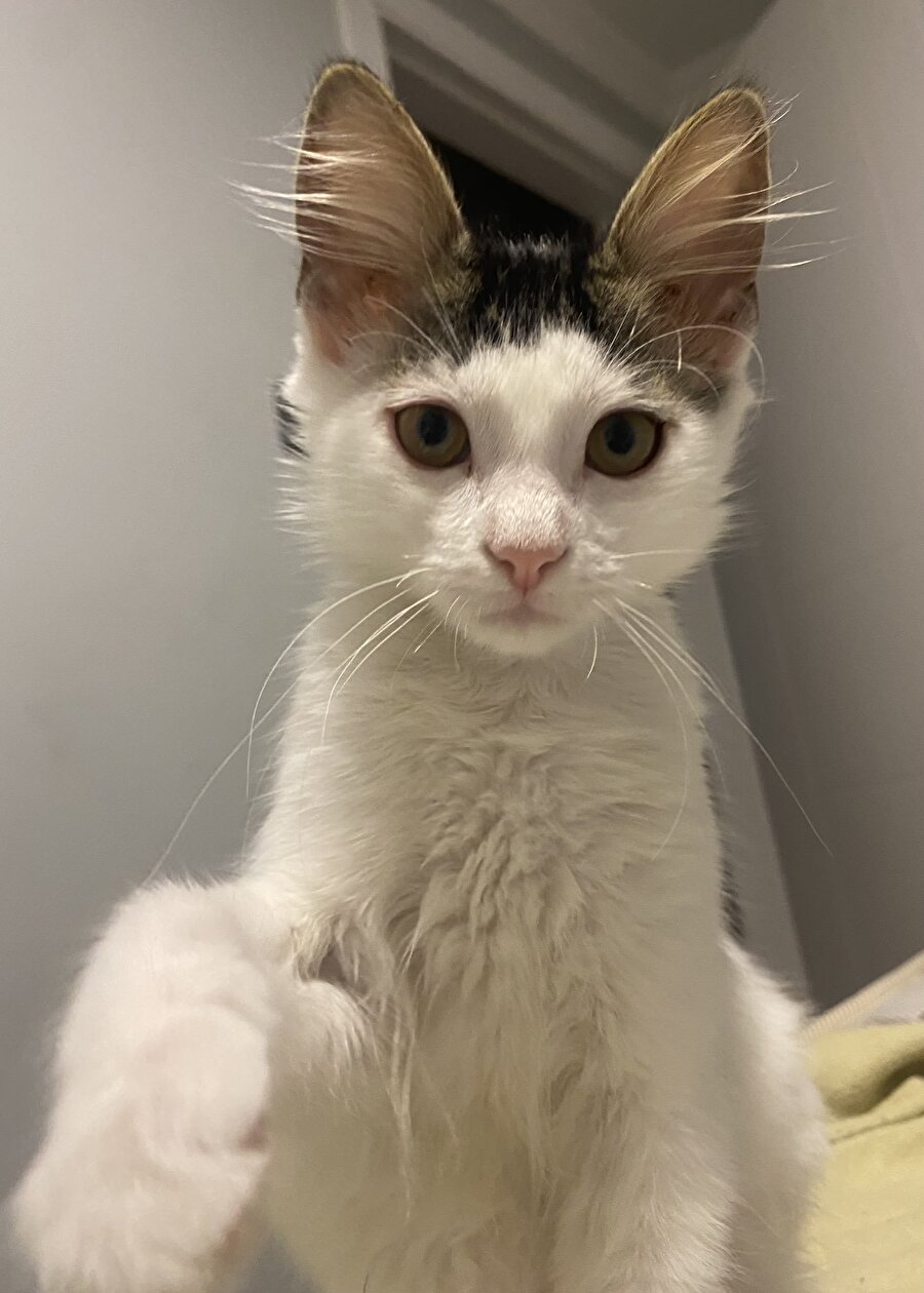 Kuaför mağdurlarında bugün