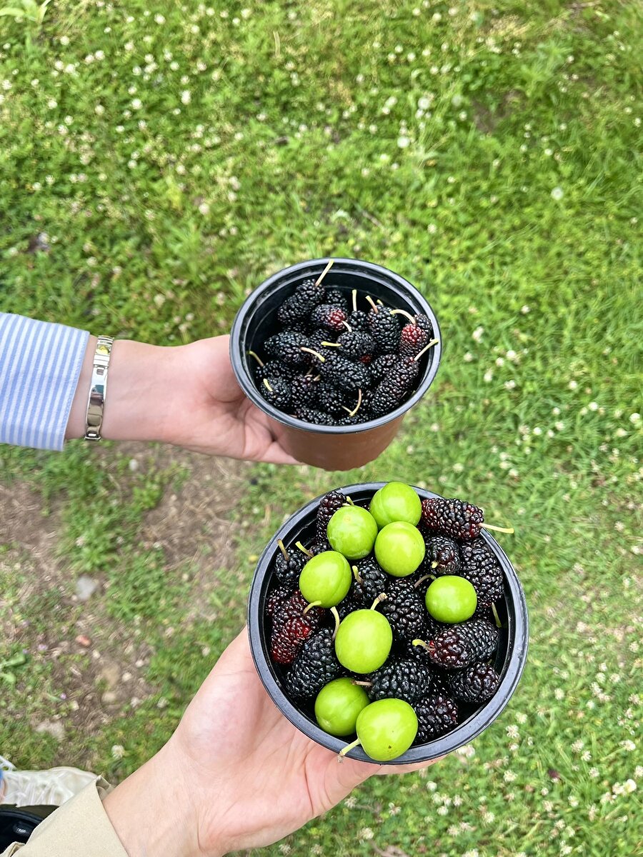 Özlediğimiz o görüntü