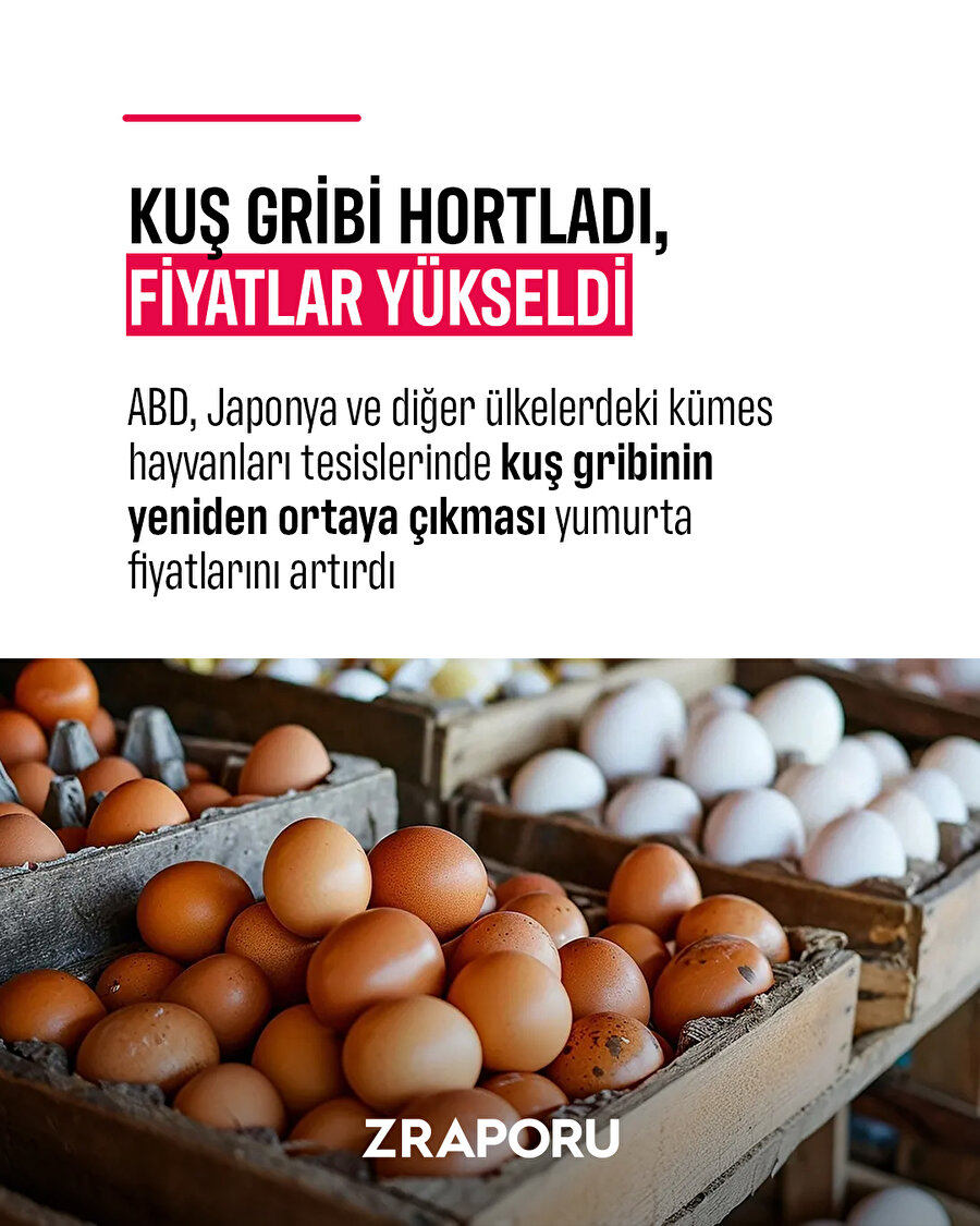 Kuş gribi hortladı, yumurta fiyatları arttı