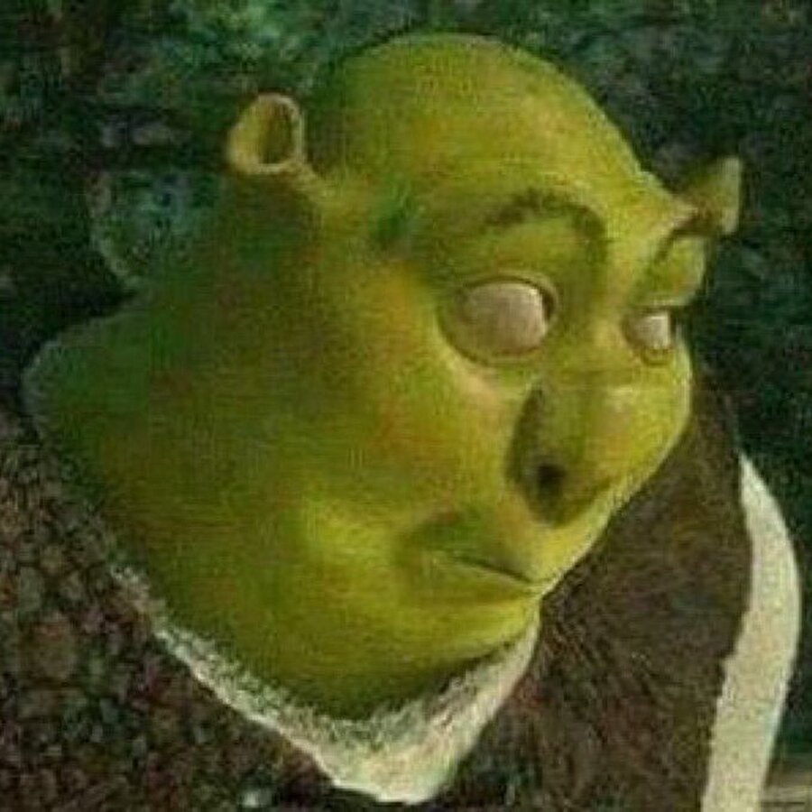 Hoca "derse devam edelim mi mola mı verelim?" deyince "devam edelim" diyen o kişiye attığımız bakış