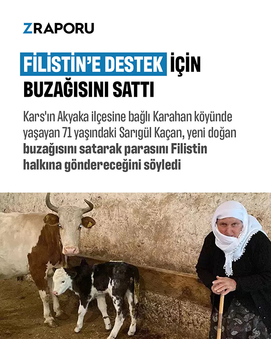 Filistin'e destek için buzağısını sattı 