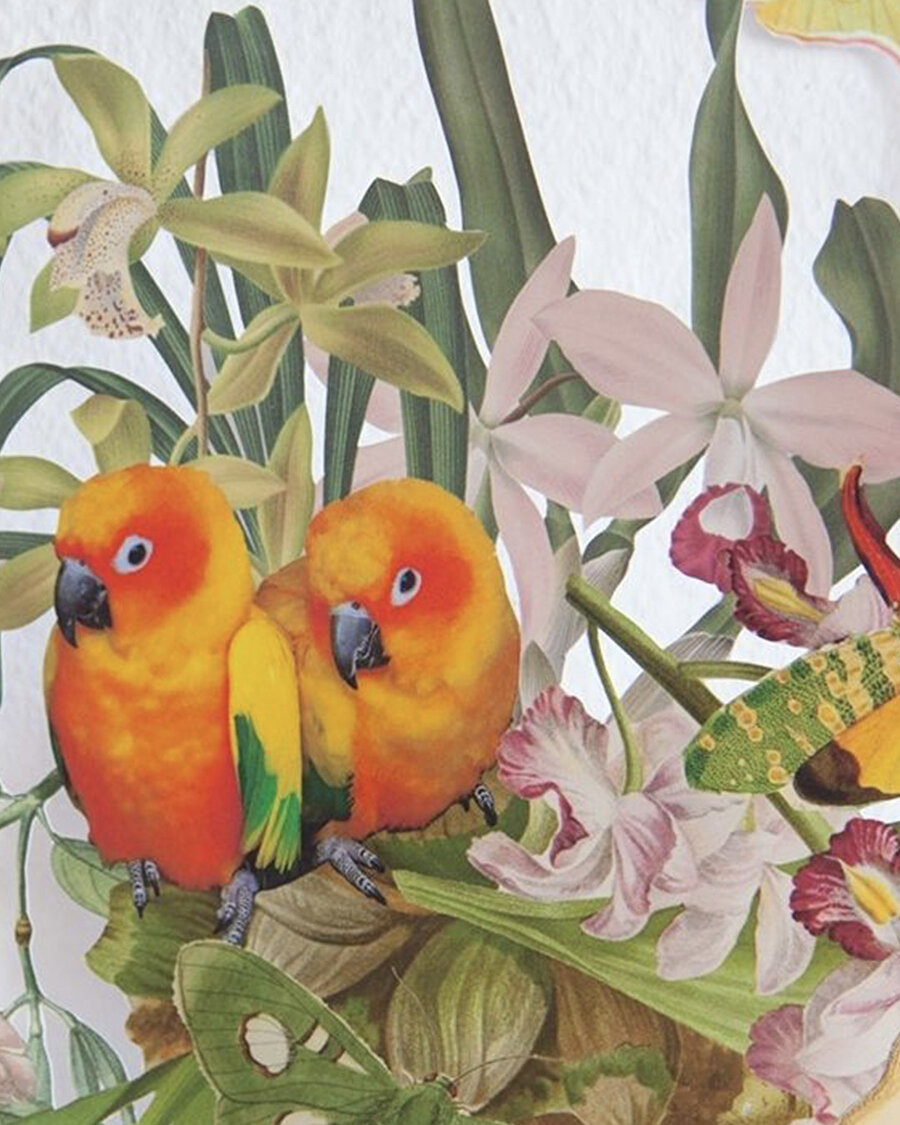 Sanatçı çalışmalarıyla doğanın çeşitliğini vurguluyor 🐦