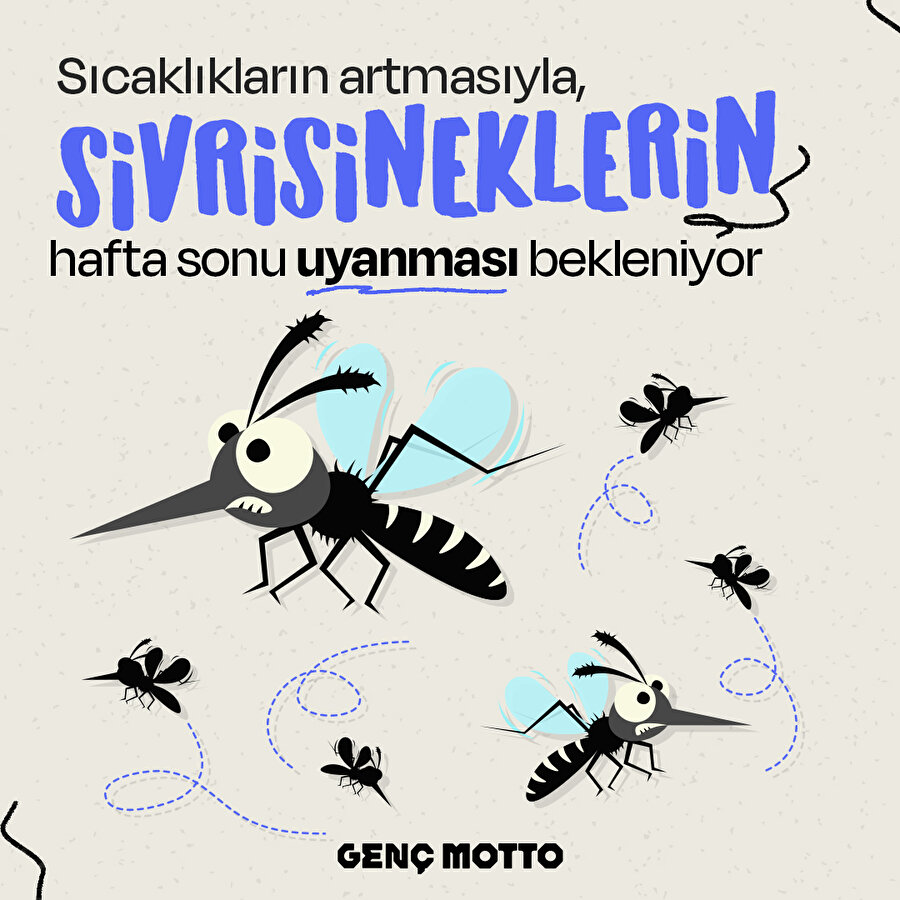 Sivrisinekler uyanıyor