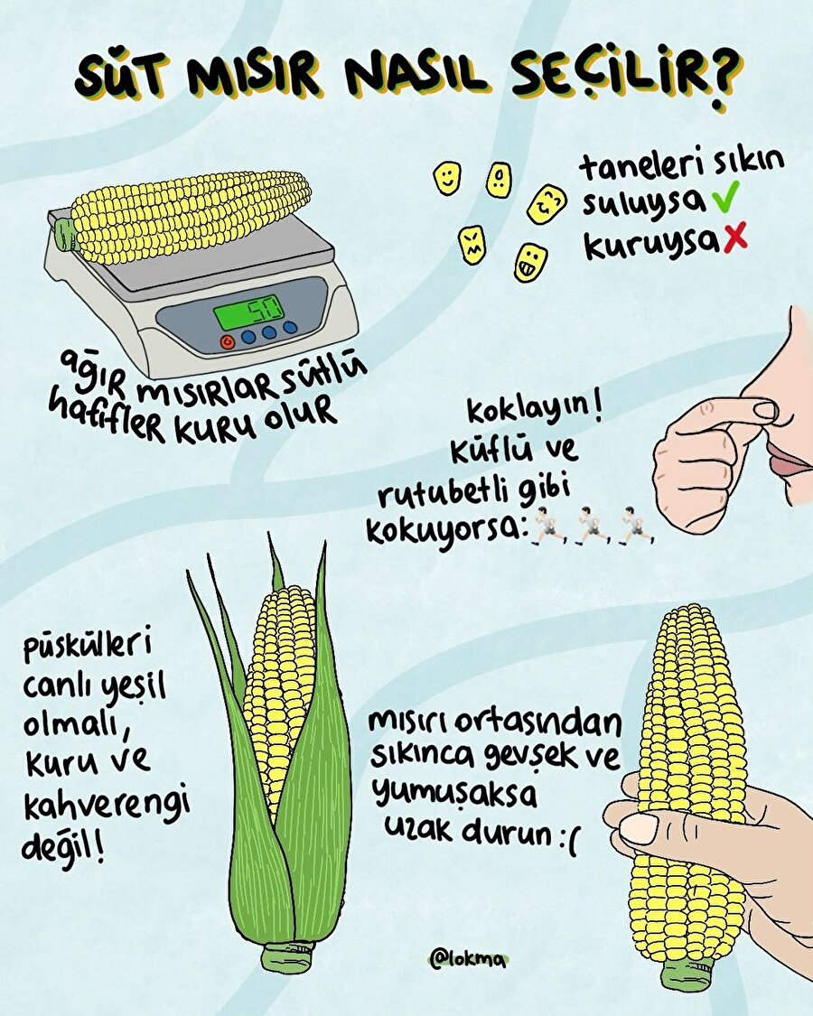 Süt mısır nasıl seçilir?