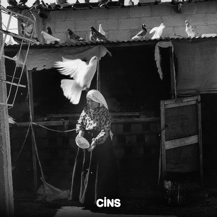 Cins arşiv: Refah 