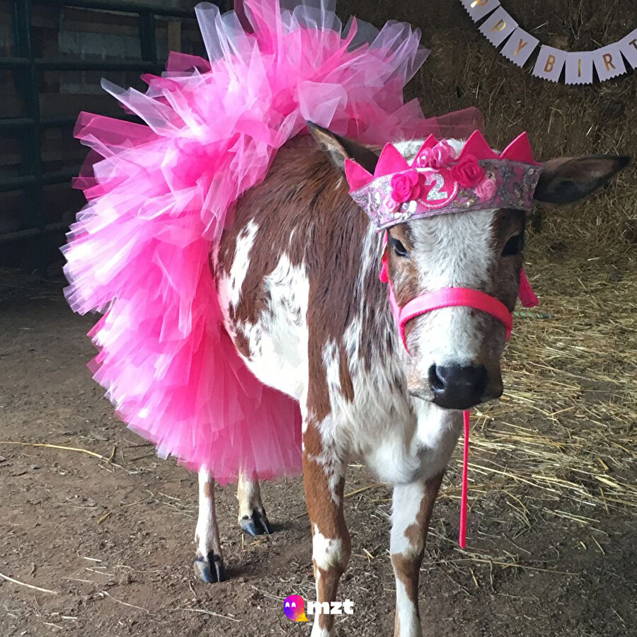 Gece kafamda kurup yaptığım bayram kombininin üzerimdeki duruşu