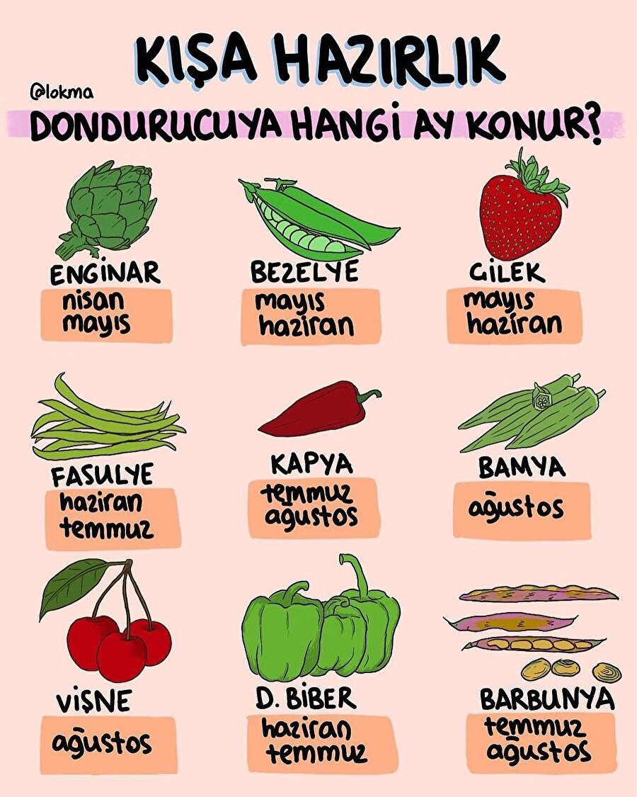 KIŞA HAZIRLIK! Dondurucuya hangi ay ne konur?