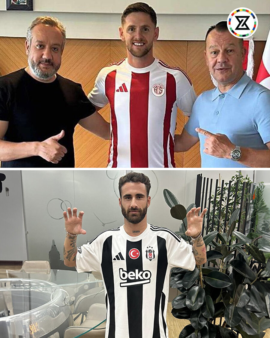 Formaların benzerliği