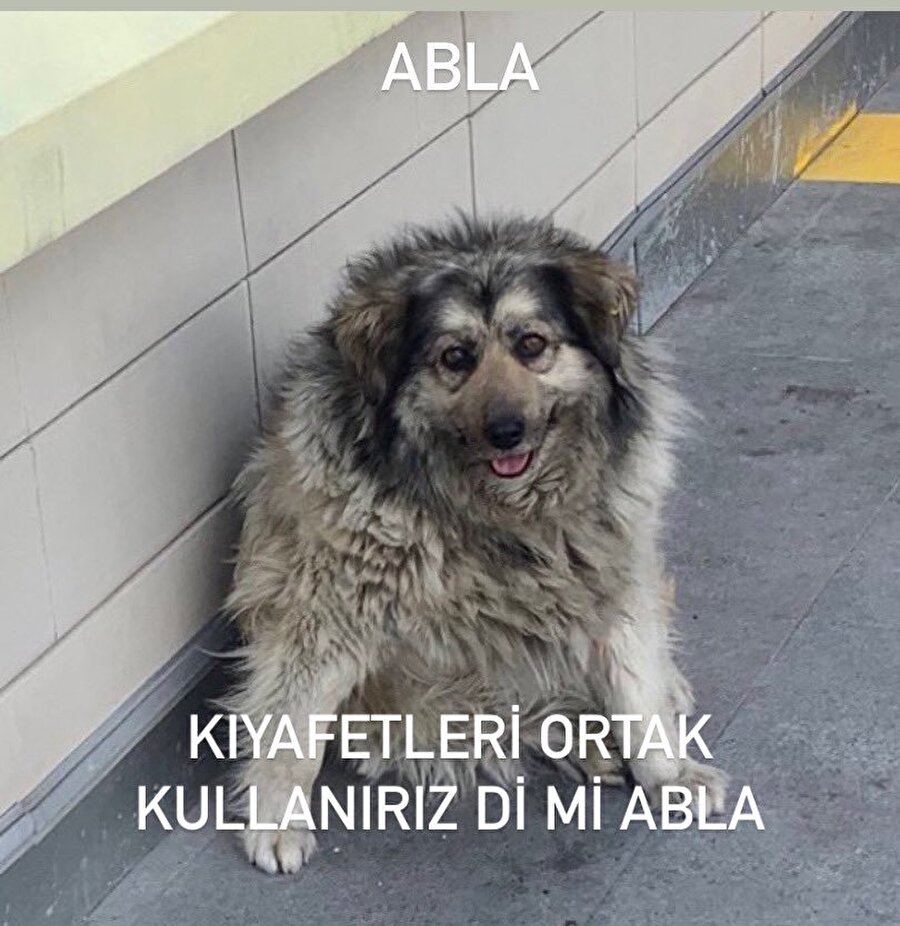 Ablamızdan kıyafet dilenirken hissettiğimiz çaresizlik