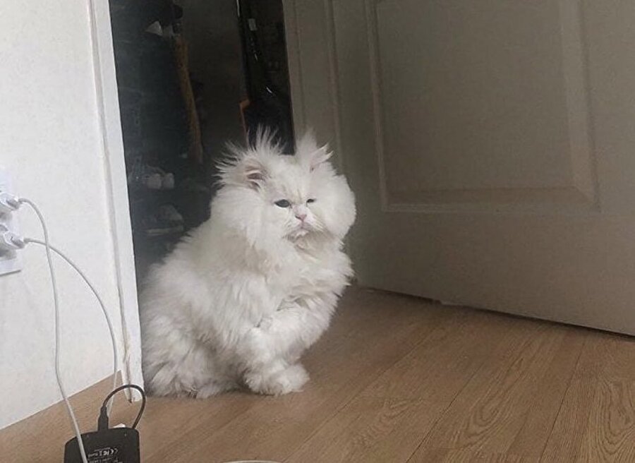 İkindi vakti uyuyakalınca dönüştüğüm kişi