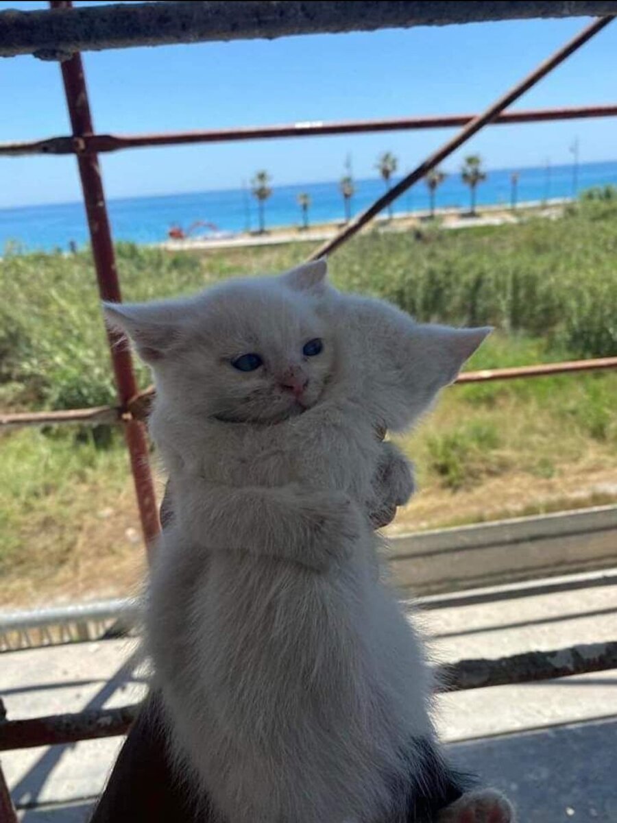 Ben ve her daim beni destekleyen arkadaşım