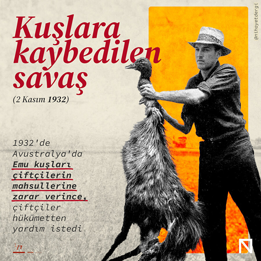🐦 Kuşlara kaybedilen savaş