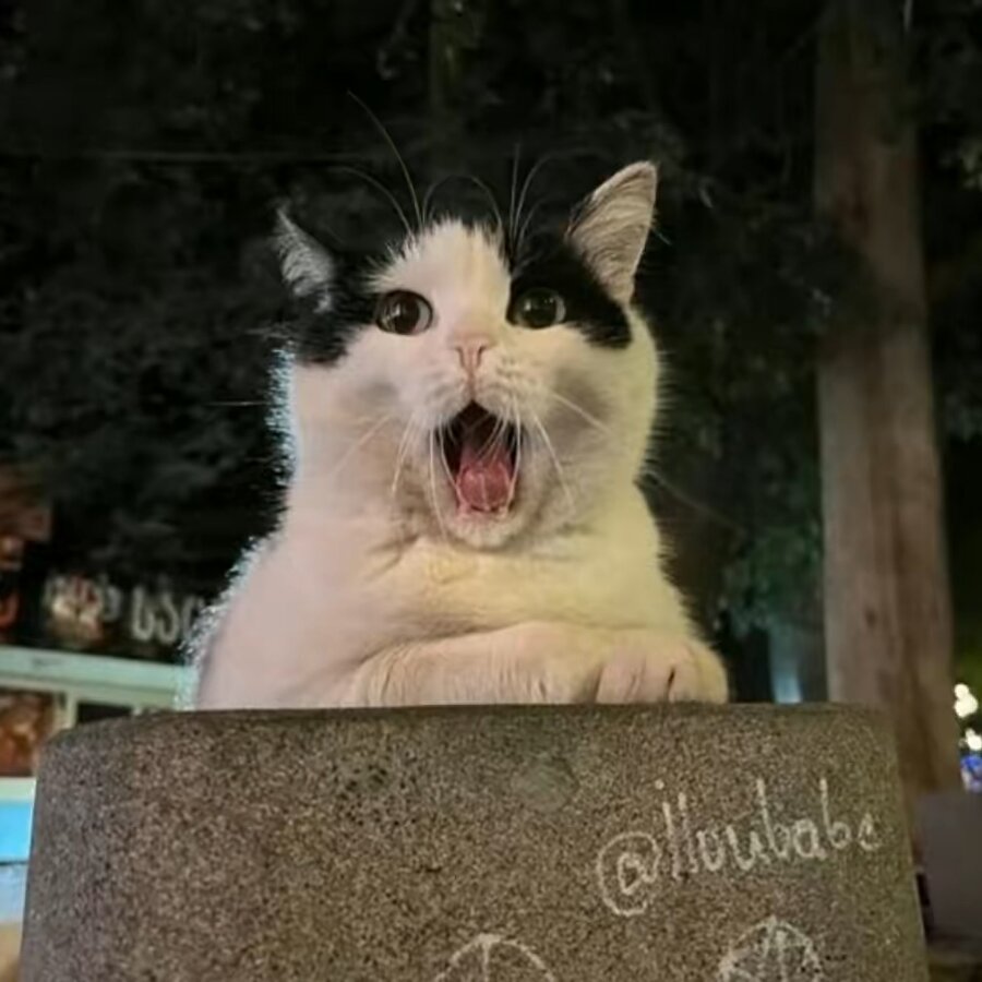 Çığlık tablosunda kimden ilham alındı?