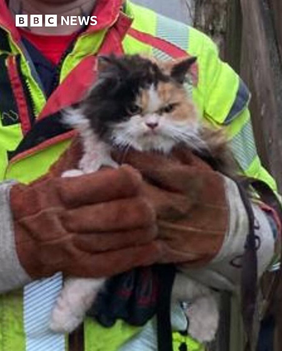 Belki de kurtarılmak istemiyordu