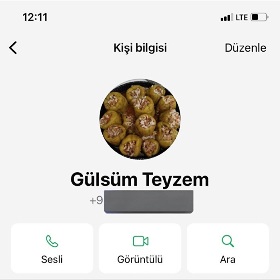 Teyze bu kadar dolma ya