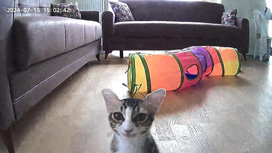 Hiç kimse:- Sınav için çekilen ÖSYM fotoğrafım: