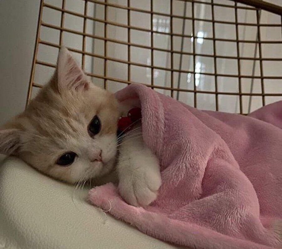 X: Buna mı kırıldın? Ben: