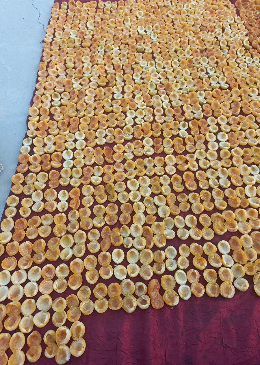 Aşırı rahatlattı bu görsel bizi