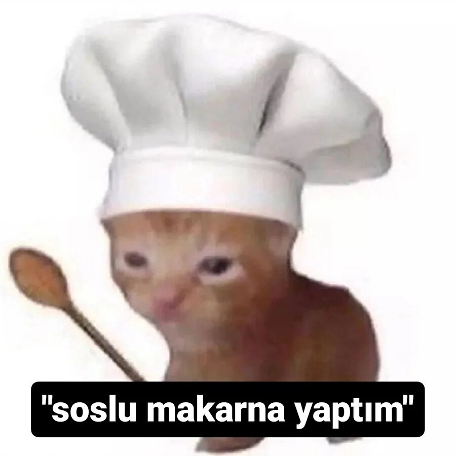 Bizim maksimum aşçılık