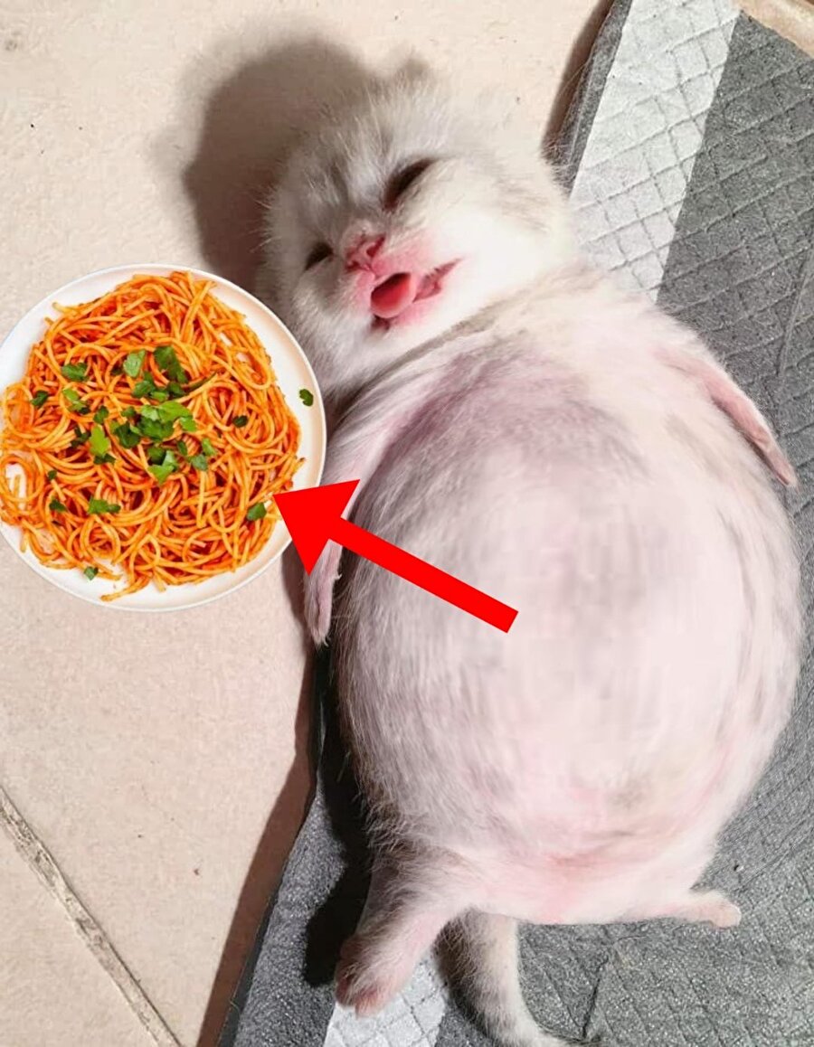 Bizim mide tomografisi