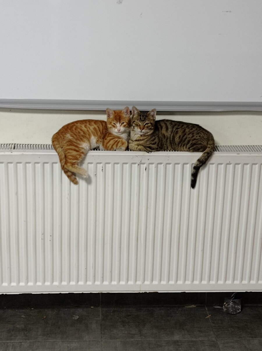 Lisede en yakın arkadaşımızla biz